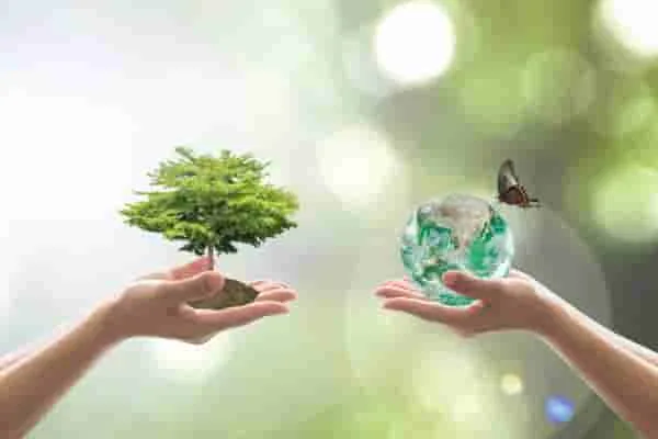 La importancia de la biodiversidad y la conservación de ecosistemas en el equilibrio ambiental.